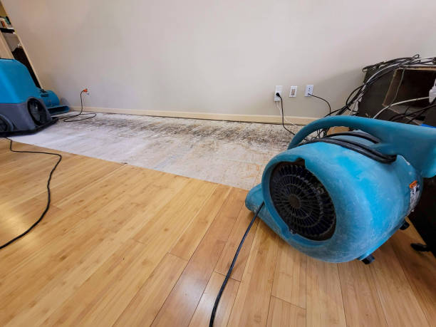 Professional Burst Pipe Water Damage technician working in Cost, TX